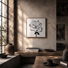Peonía nº 17 - fotografía floral analógica, edición limitada de 20 ejemplares