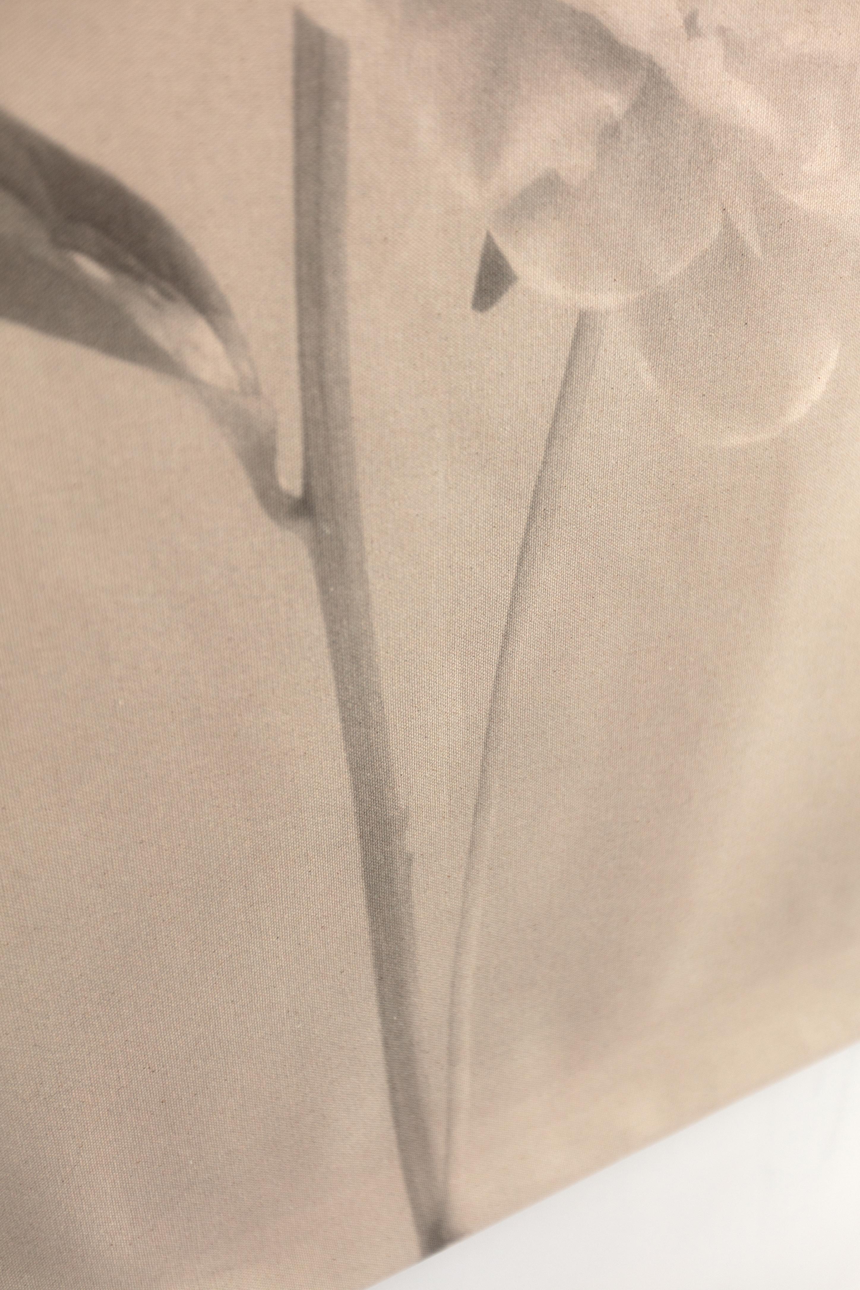 'Peony no.2' cotton canvas scroll, floral photography, Limited edition 4 of 5 For Sale 1