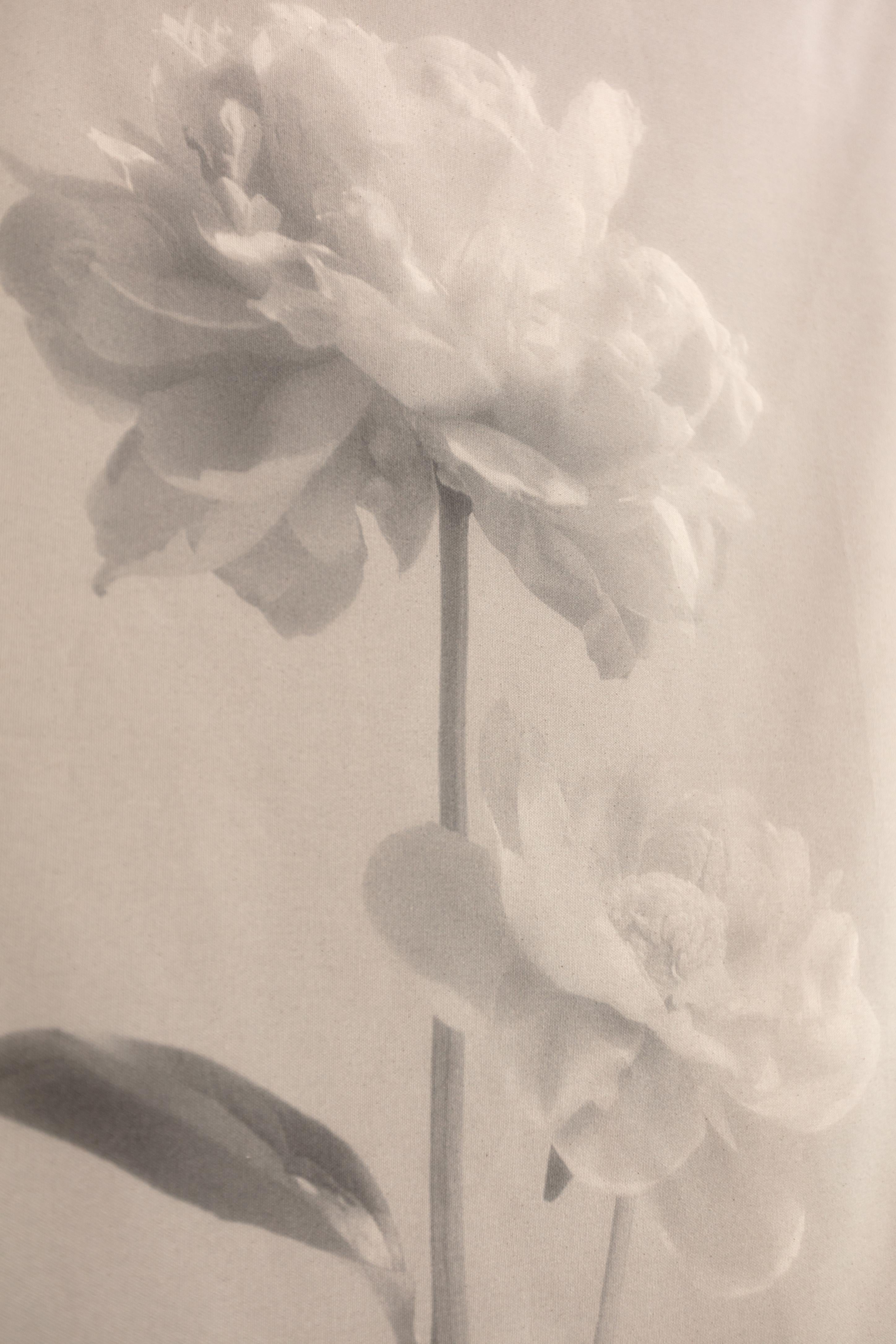 Baumwoll-Leinwandschnörkel „Peony no.2“, Blumenfotografie, limitierte Auflage 2 von 5 Stück – Photograph von Ugne Pouwell