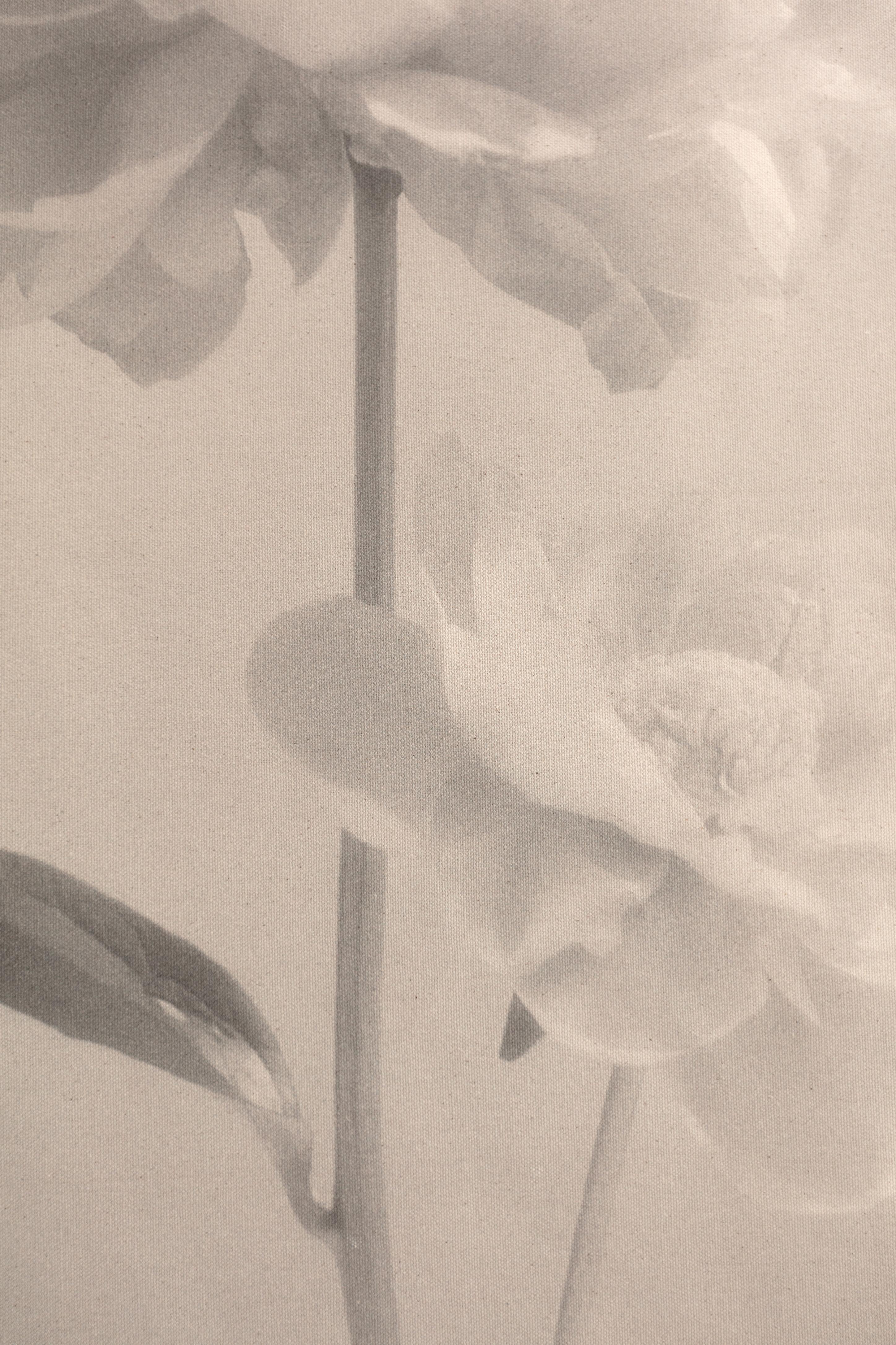 Baumwoll-Leinwandschnörkel „Peony no.2“, Blumenfotografie, limitierte Auflage 2 von 5 Stück (Zeitgenössisch), Photograph, von Ugne Pouwell