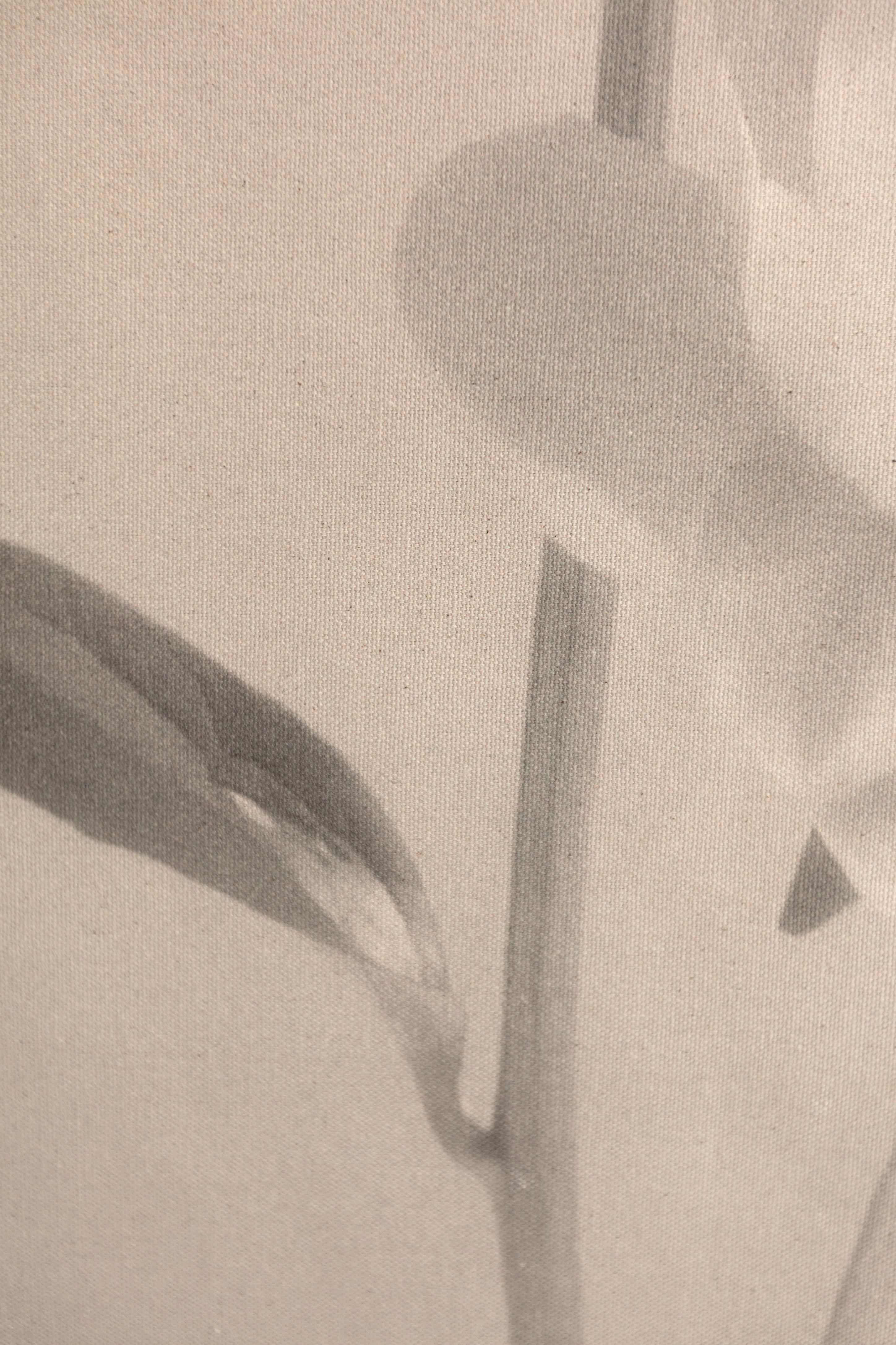 Baumwoll-Leinwandschnörkel „Peony no.2“, Blumenfotografie, limitierte Auflage 2 von 5 Stück im Angebot 1
