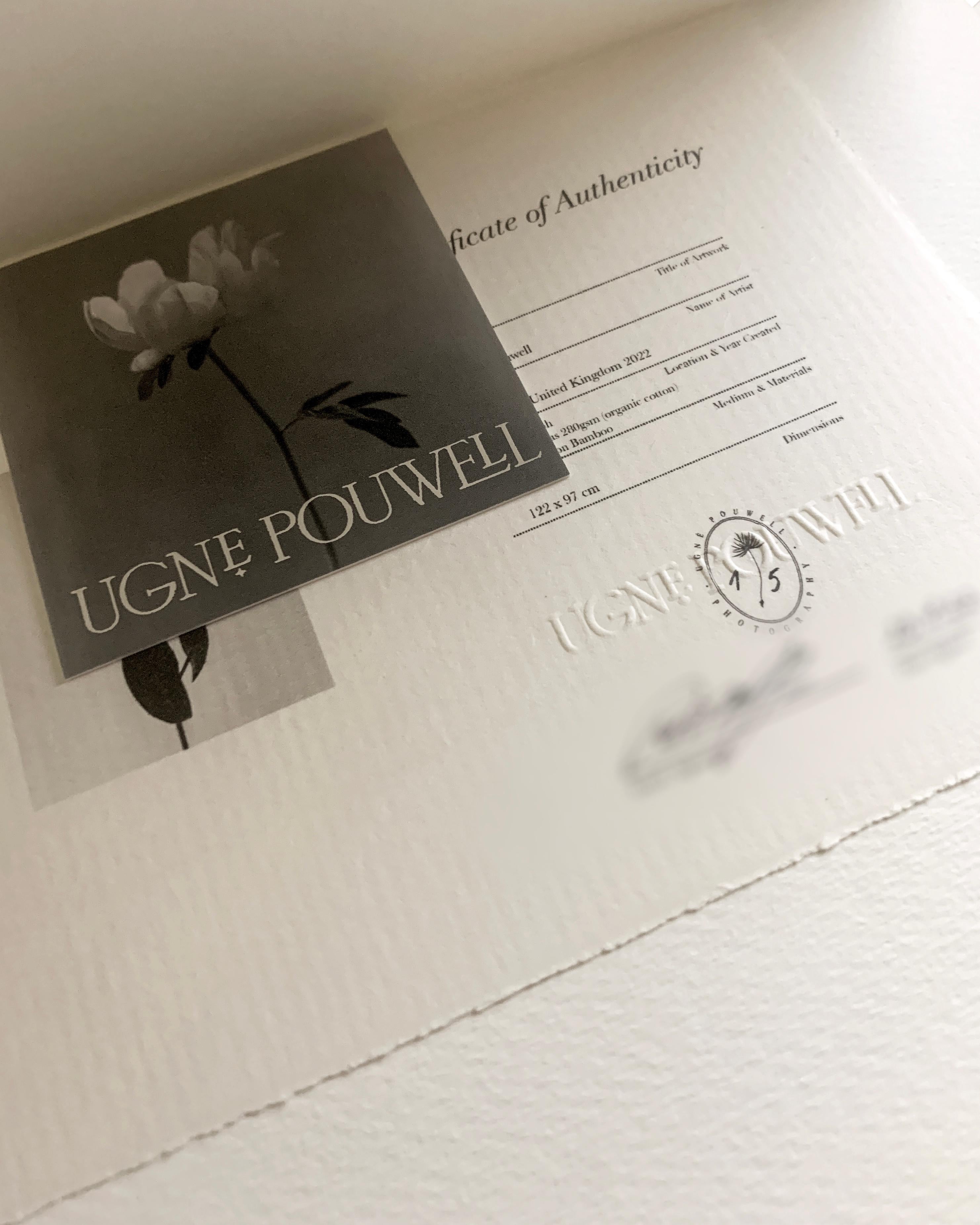 Baumwoll-Leinwandschnörkel „Peony no.2“, Blumenfotografie, limitierte Auflage 2 von 5 Stück im Angebot 5