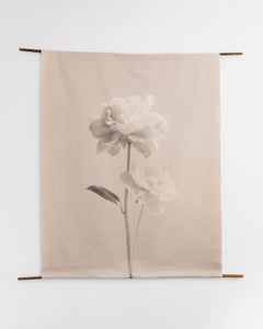 'Peony no.2' cotton canvas scroll, floral photography, Limited edition 2 of 5