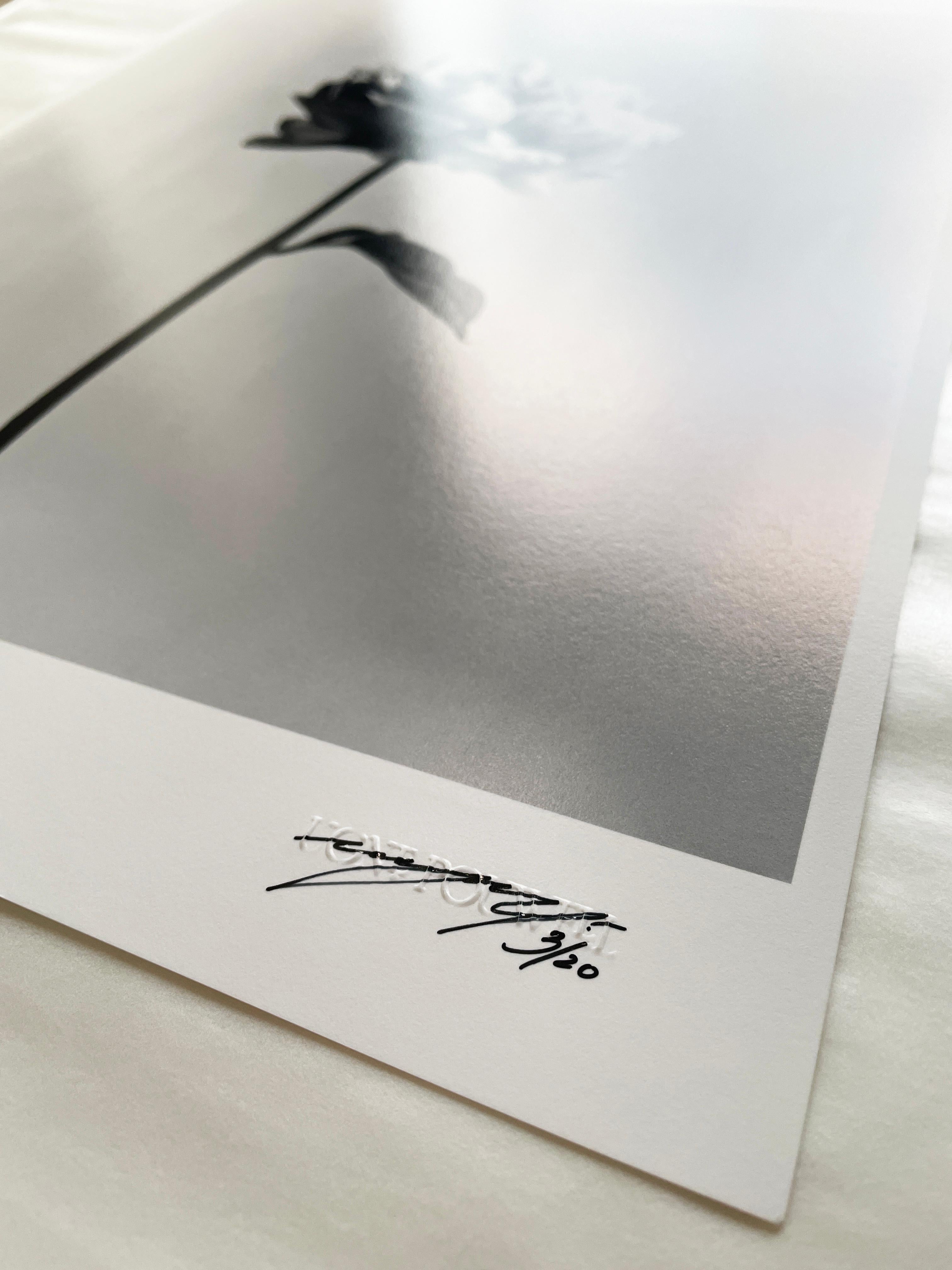 'Peony' photographié à Londres, Royaume-Uni 2023.

Il s'agit d'une photographie argentique en noir et blanc, réalisée avec un appareil Linhof 4x5 de grand format.

Impression giclée sur papier d'art Hahnemühle photo rag Baryta 308 Gsm, édition