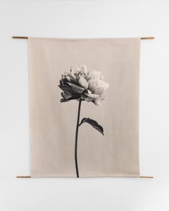 'Peony no.3' cotton canvas scroll, floral photography, Limited edition 2 of 5