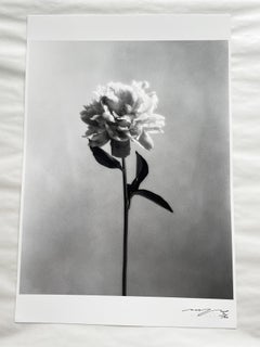 Peonia n.4 - fotografia floreale analogica in bianco e nero, edizione limitata a 4 di 20 esemplari