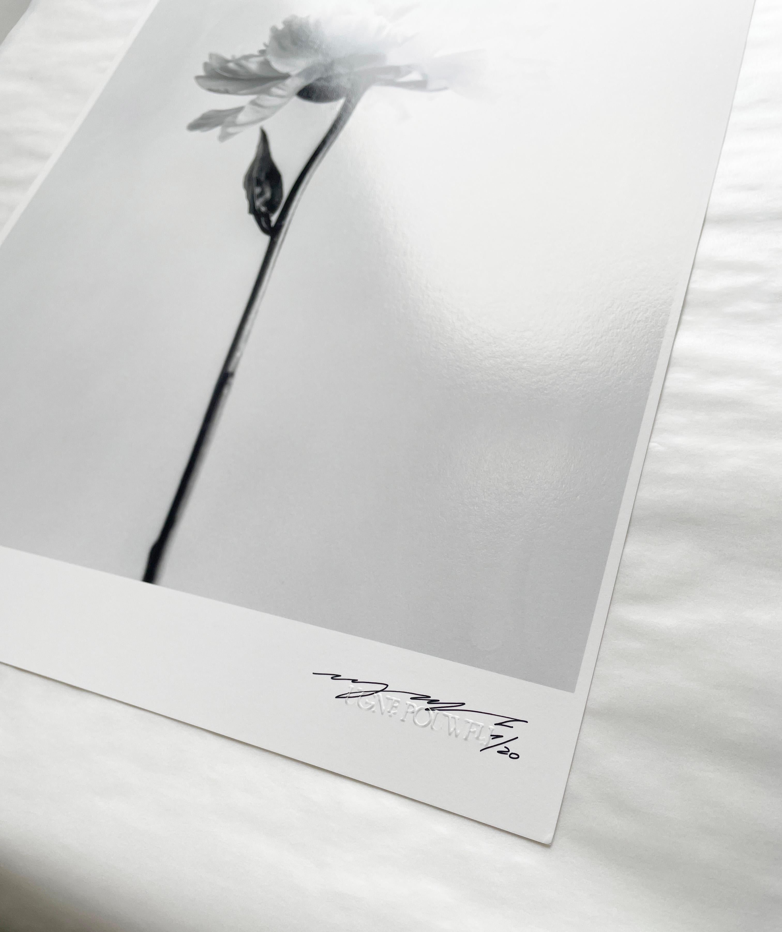 Peonia n.5 - fotografia floreale analogica in bianco e nero, edizione limitata a 2 di 20 esemplari in vendita 1