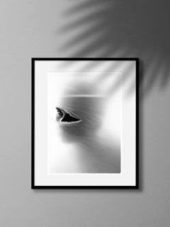 Personatus - black and white masked portrait, limited edition of 20