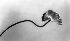 Black and White Photography