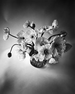Bouquet de coquelicots - Photographie florale analogique en noir et blanc, édition limitée à 20 exemplaires