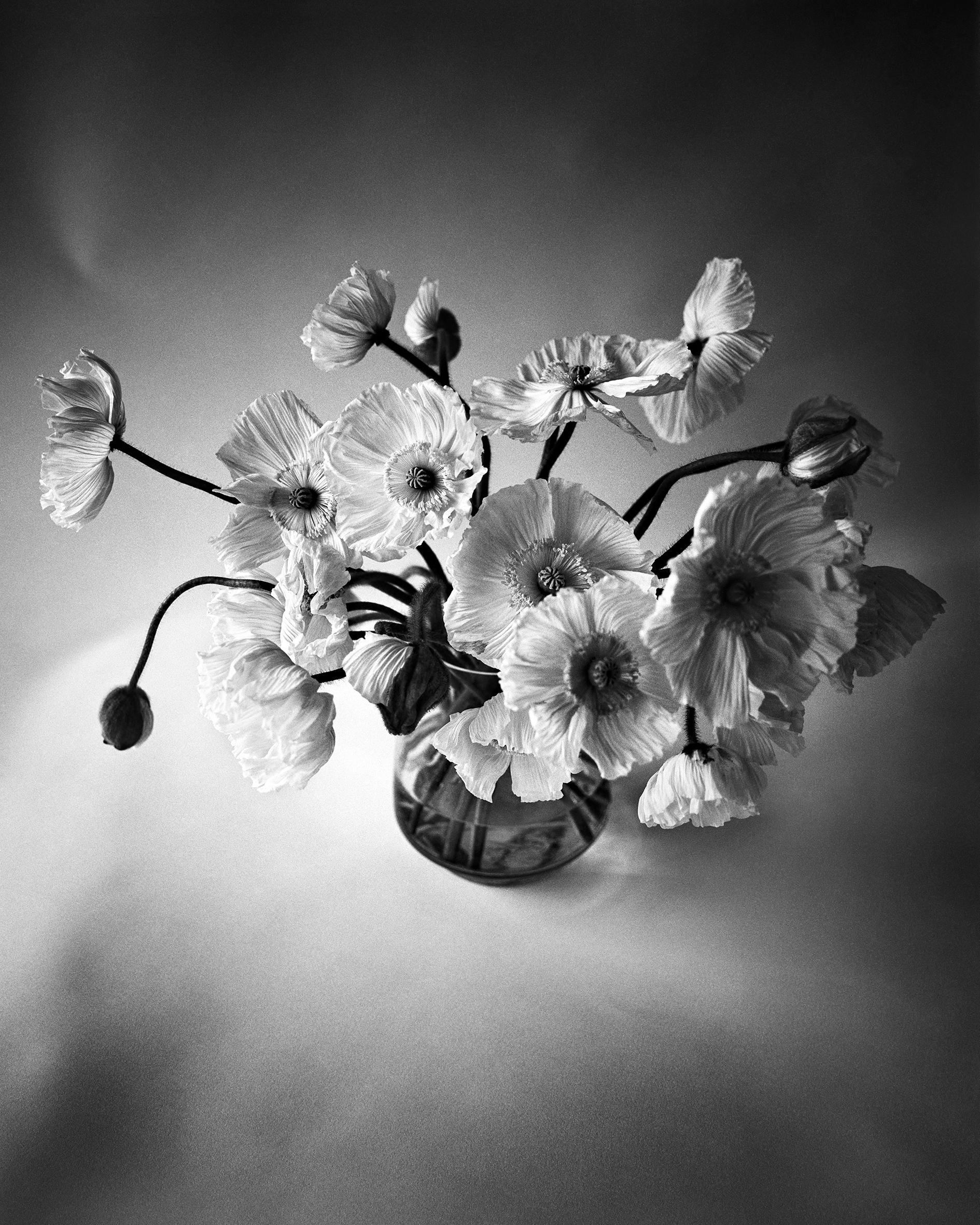 Ugne Pouwell Black and White Photograph - Poppy Bunch - Black and White analogue floral photography, Limited edition of 20