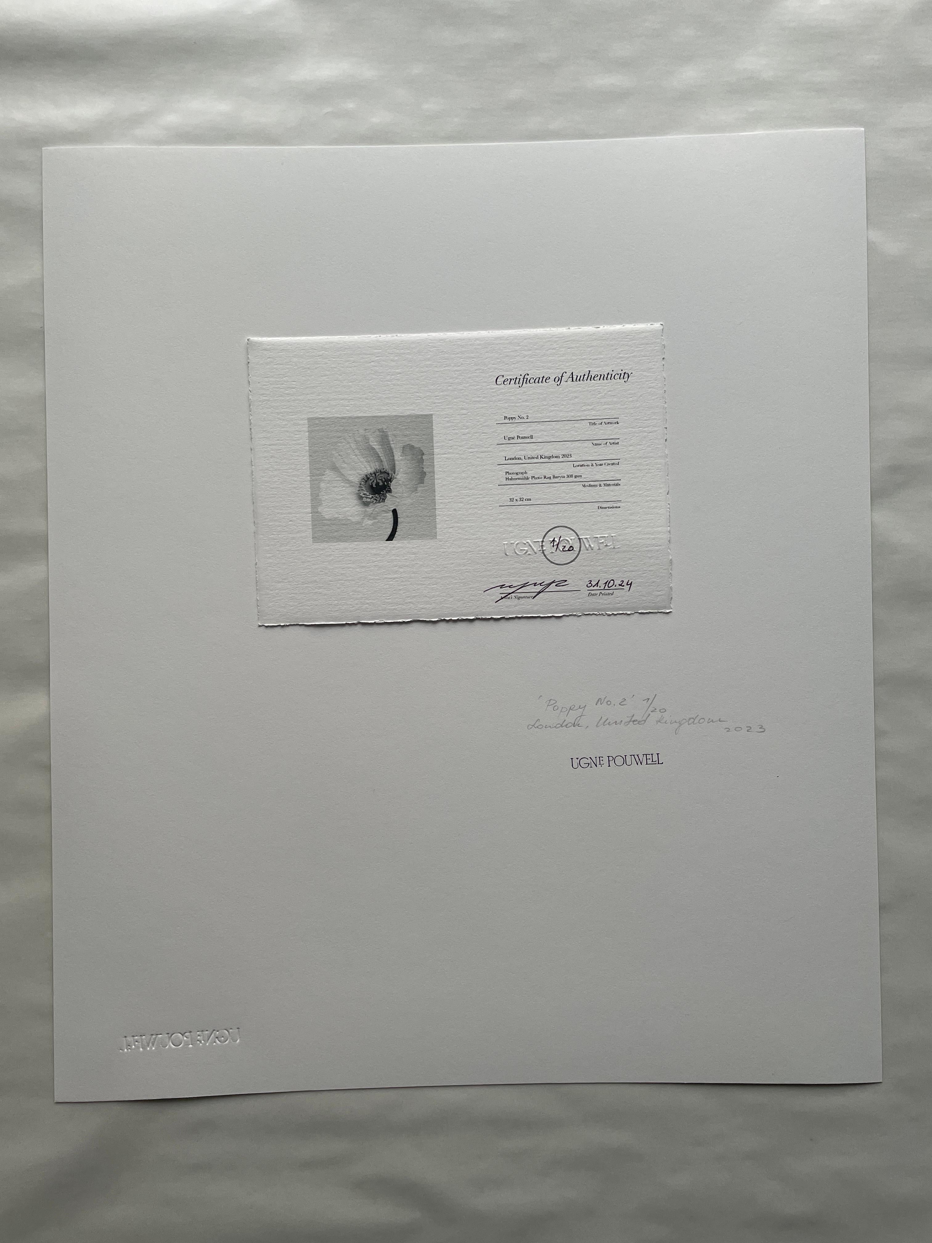 Poppy No.2 – analoge Schwarz-Weiß-Blumenfotografie in limitierter Auflage (2/20) – Photograph von Ugne Pouwell