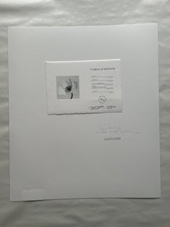 Amapola nº 2 - fotografía floral analógica en blanco y negro, edición limitada (3/20)