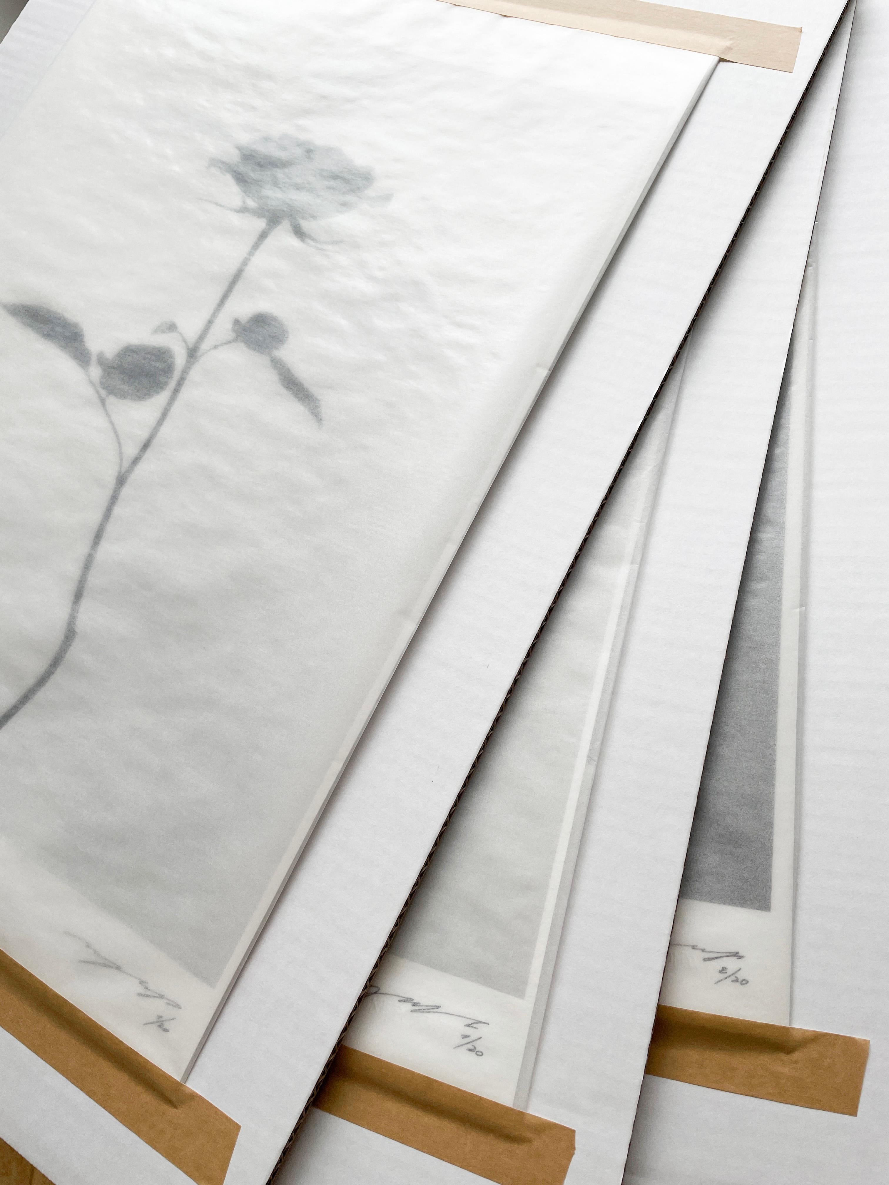 ppy No.3 -  Schwarz-Weiß-Blumenfotografie, Limitierte Auflage 4 von 20. im Angebot 2