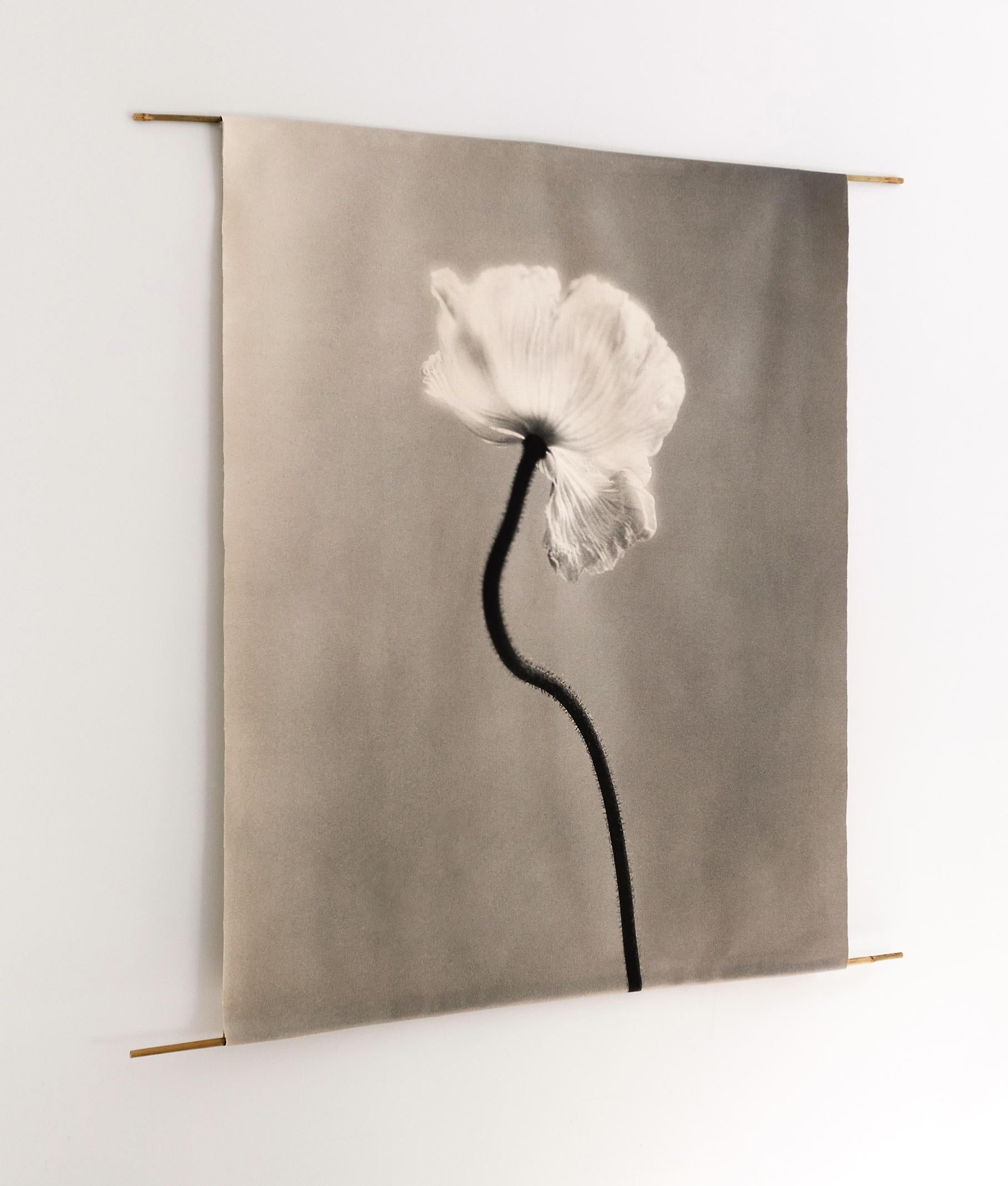 Poppy no.3 - organic cotton canvas scroll on bamboo, limited edition 2 of 5 For Sale 3