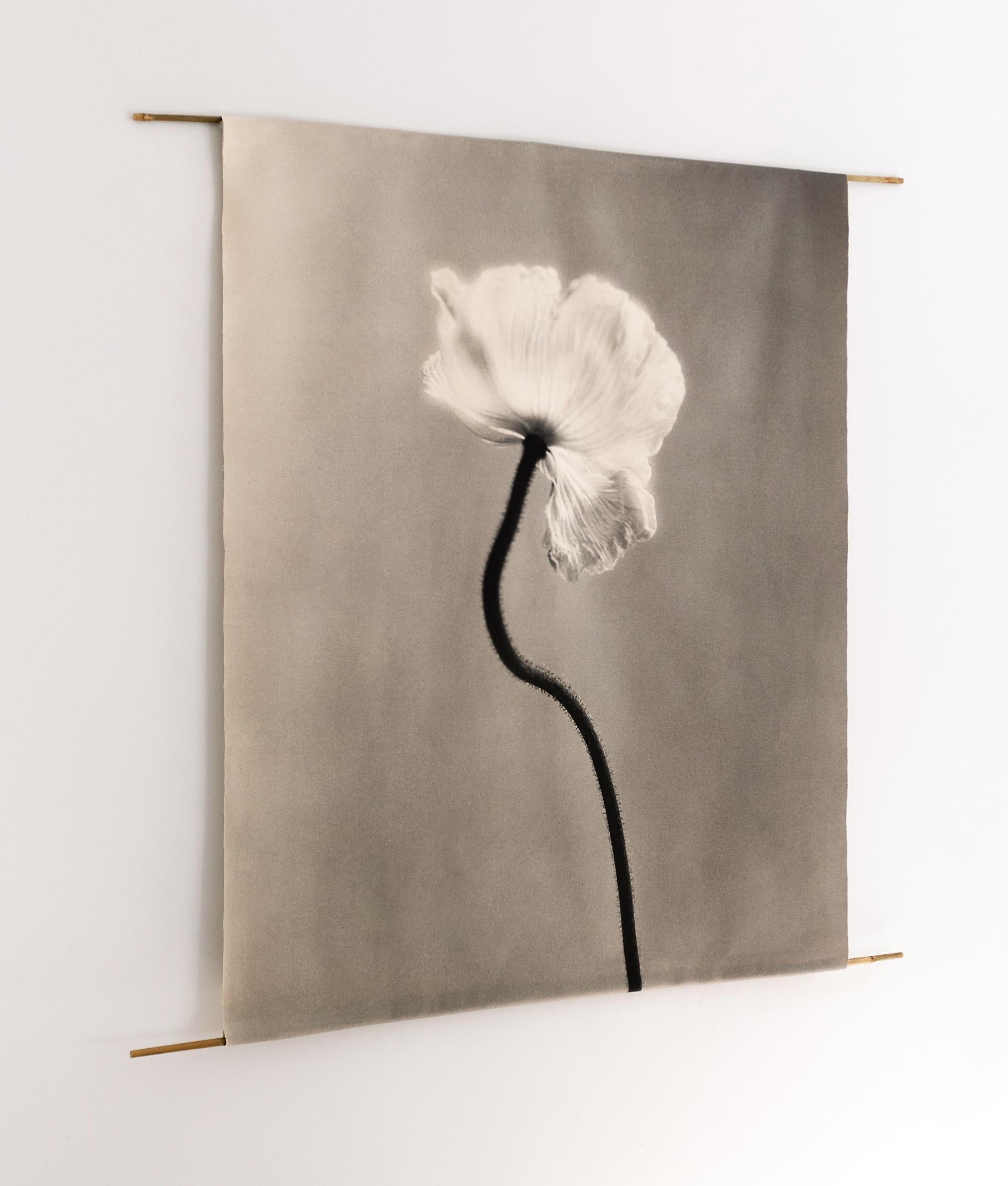 Poppy no.3 - organic cotton canvas scroll on bamboo, limited edition 1 of 5 4