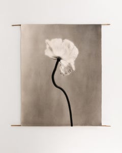 Poppy no.3 - organic cotton canvas scroll on bamboo, limited edition 1 of 5