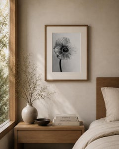 Poppy No.9 - analogue black and white floral photography, limited edition of 20