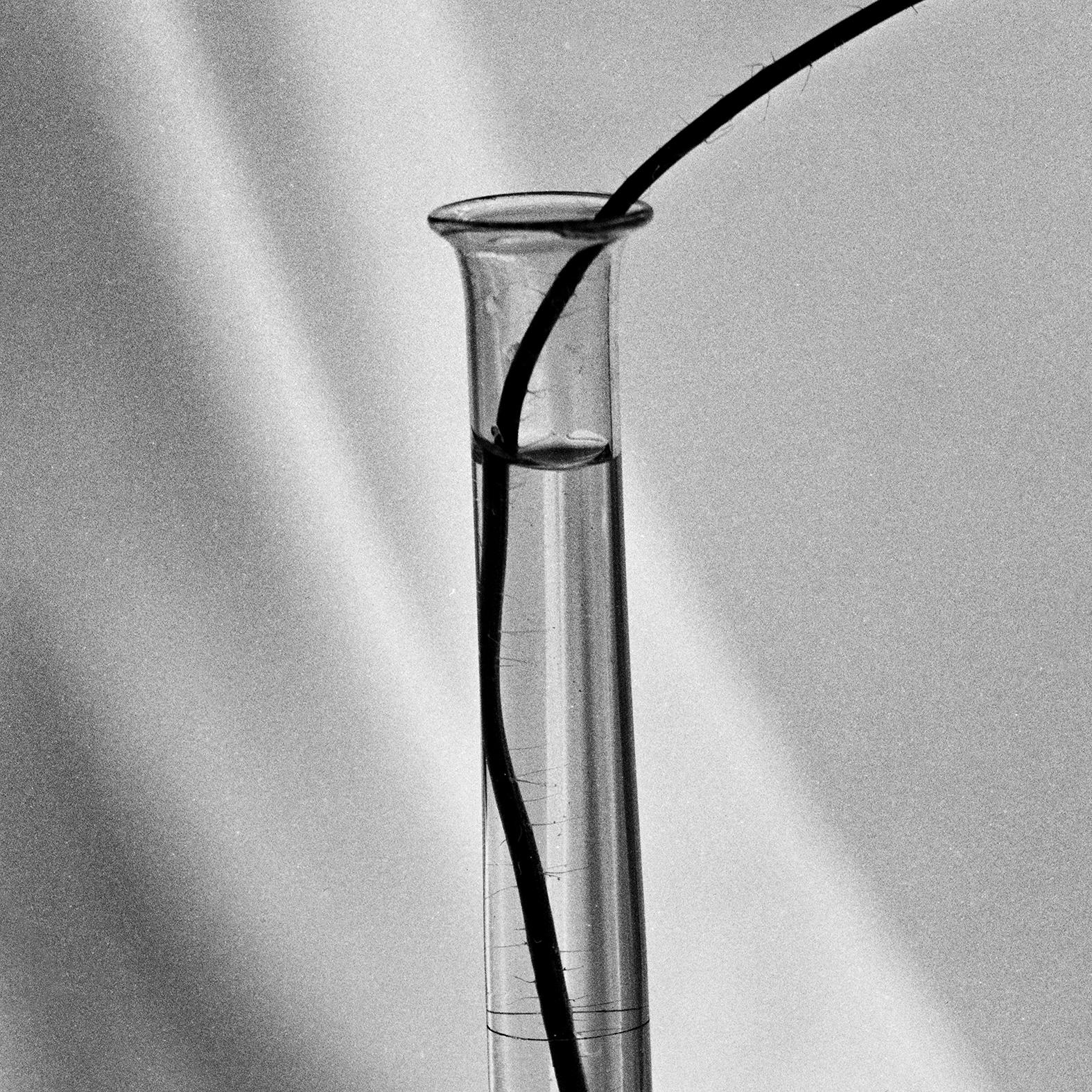 Amapola sobre ondas de seda - fotografía analógica de bodegones, Edición limitada de 20 unidades - Black and White Photograph Gris de Ugne Pouwell