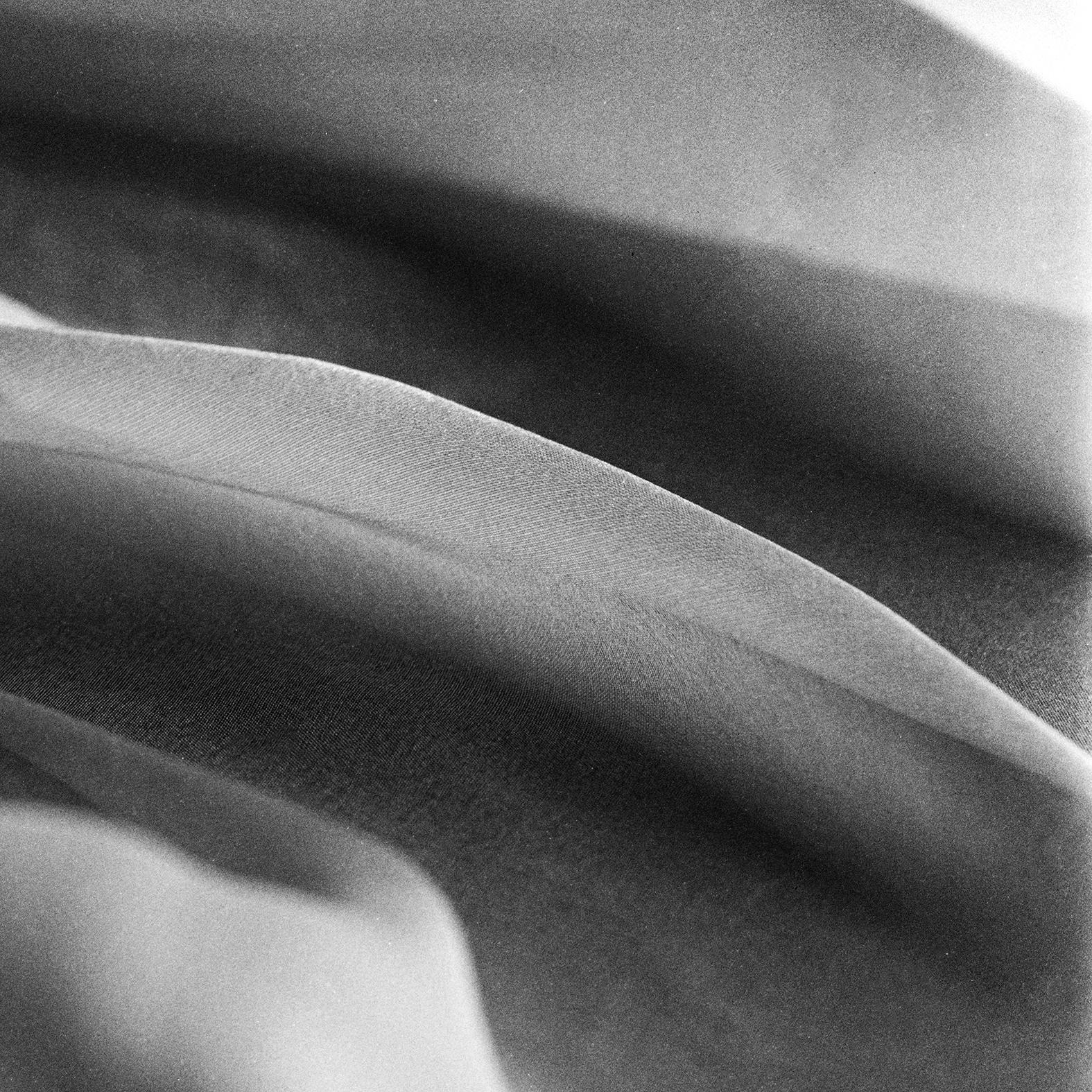 Amapola sobre ondas de seda

Fotografiada con una cámara de película 4x5 de gran formato, que proporciona un detalle y una dinámica de la luz increíbles. 

De edición limitada a 20 ejemplares.

La fotografía está firmada en la esquina inferior