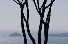 Porto Venere No.2 - Fotografia del paesaggio costiero italiano, edizione limitata a 20 esemplari
