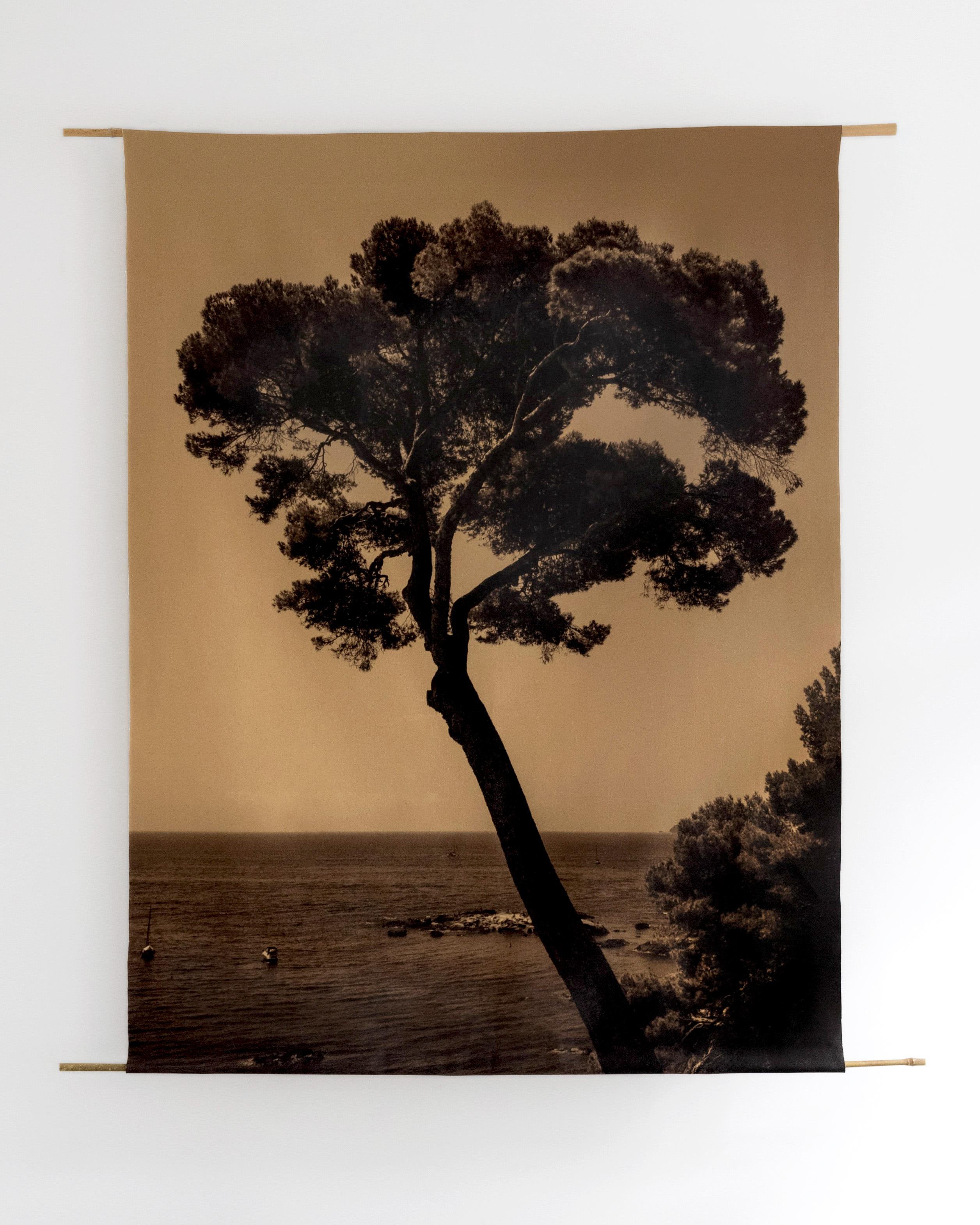 Ugne Pouwell Landscape Photograph – Prevail-organic Baumwoll-Leinwand scroll auf Bambus 120x96cm Limitierte Auflage 2 von 5 Stück. 