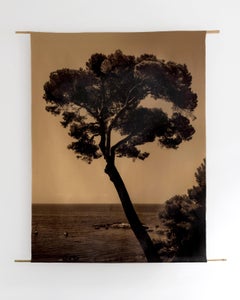 Prevail-organic cotton canvas scroll on bamboo 120x96cm limited edition 5.