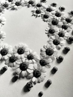 Ramunės - abstract analogue black and white floral photography, 3 of 5