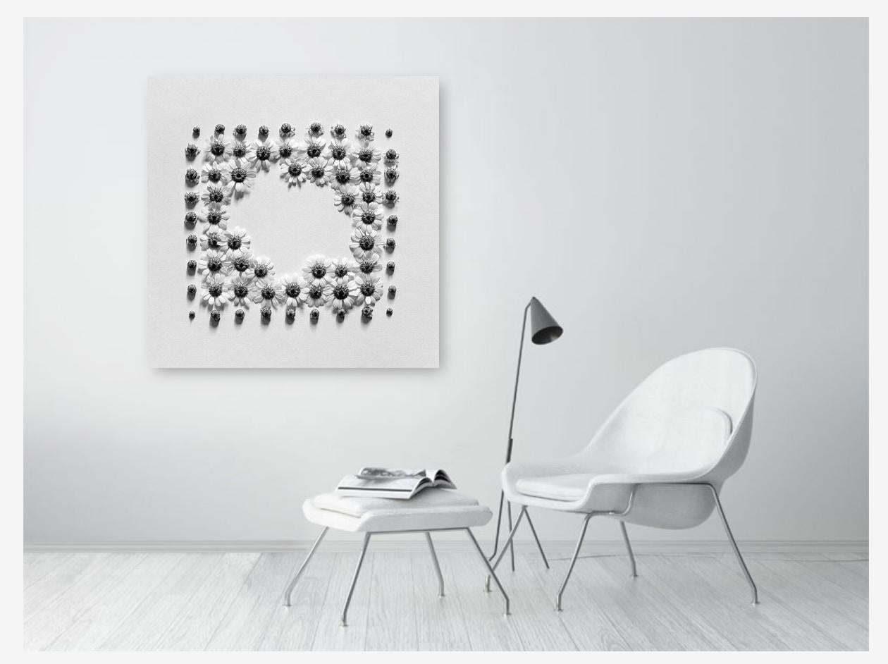 'Ramunės'

London, Vereinigtes Königreich 2022

Limitierte Auflage 3 von 5.

Fotografie gedruckt auf schwerem Hahnehmule German Etching fine art paper. Signiert unten rechts auf extra 4 cm weißem Rand und gedrucktem Echtheitszertifikat. 

Das Foto
