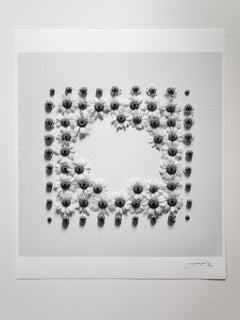 Ramunės - abstrakte analoge Schwarz-Weiß-Blumenfotografie, Ltd. 20