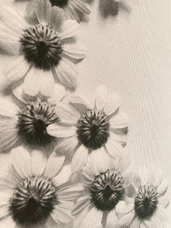 Ramunes – Blumenfilmfotografie auf Baumwoll-Leinwand, limitierte Auflage von 5 Stück