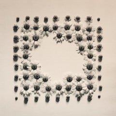 Ramunes - photographie de film florale sur toile de coton, édition limitée à 5 exemplaires