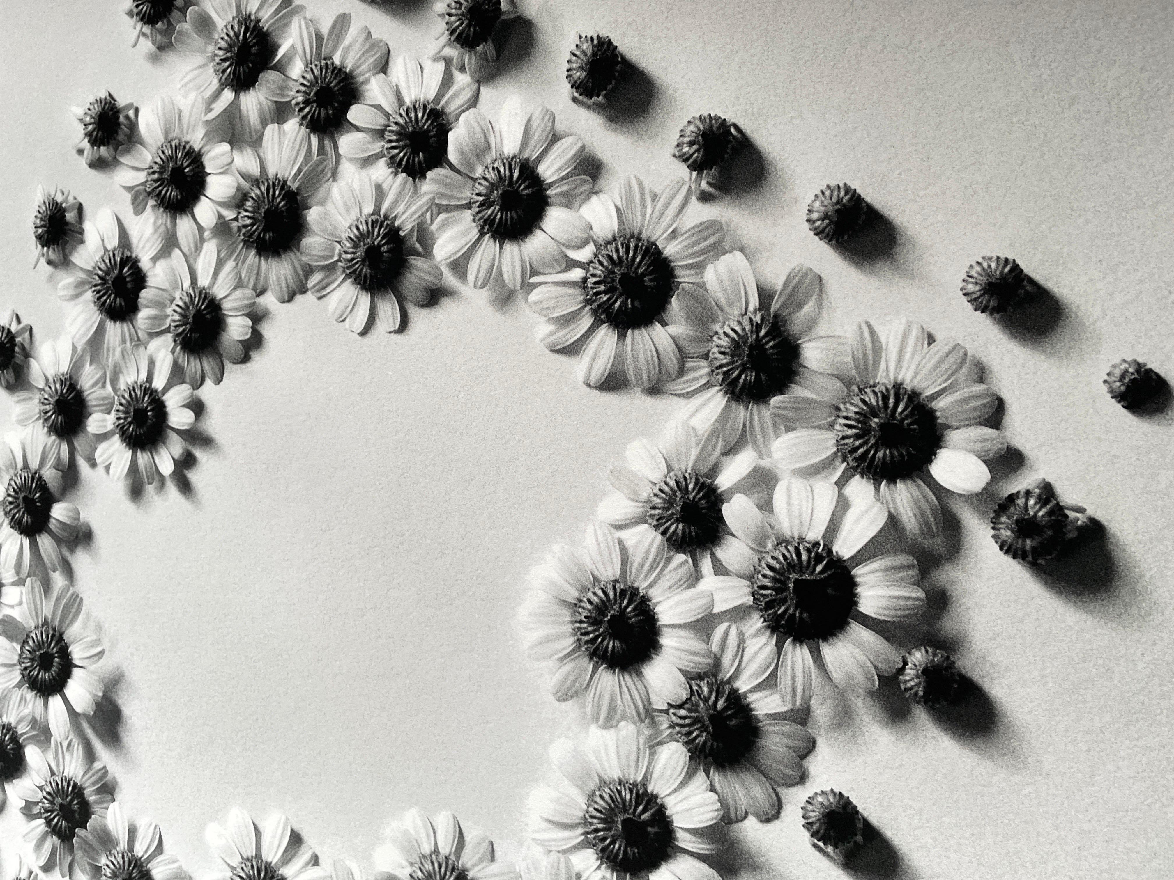 Ramunės - abstract analogue black and white floral photography, 2 of 5 - Photograph by Ugne Pouwell