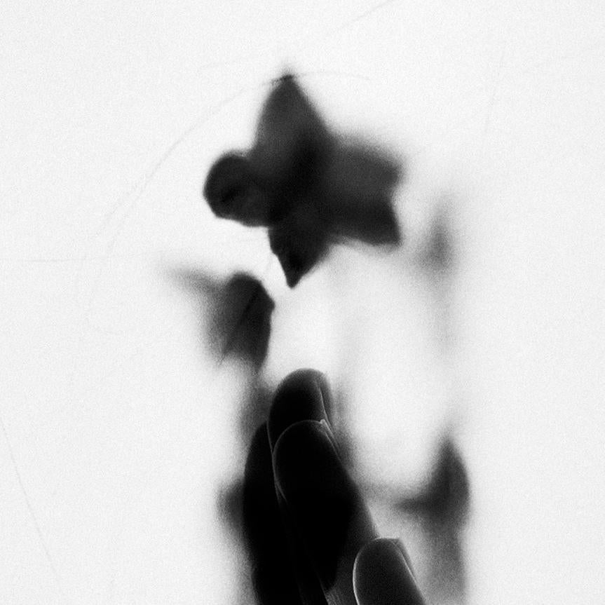 Reaching for the Stars – Schwarz-Weiß-surrealistische Fotografie in Schwarz-Weiß, Auflage von 20 Stück – Photograph von Ugne Pouwell