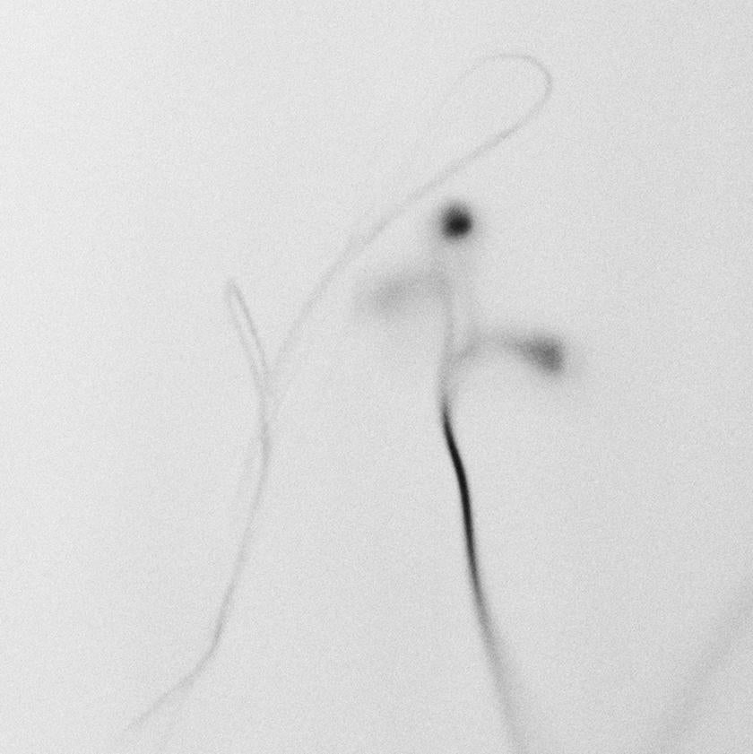 Reaching for the Stars – Schwarz-Weiß-surrealistische Fotografie in Schwarz-Weiß, Auflage von 20 Stück (Grau), Abstract Photograph, von Ugne Pouwell