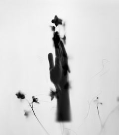 Raggiungere le stelle - Fotografia surrealista in bianco e nero, edizione di 20 esemplari