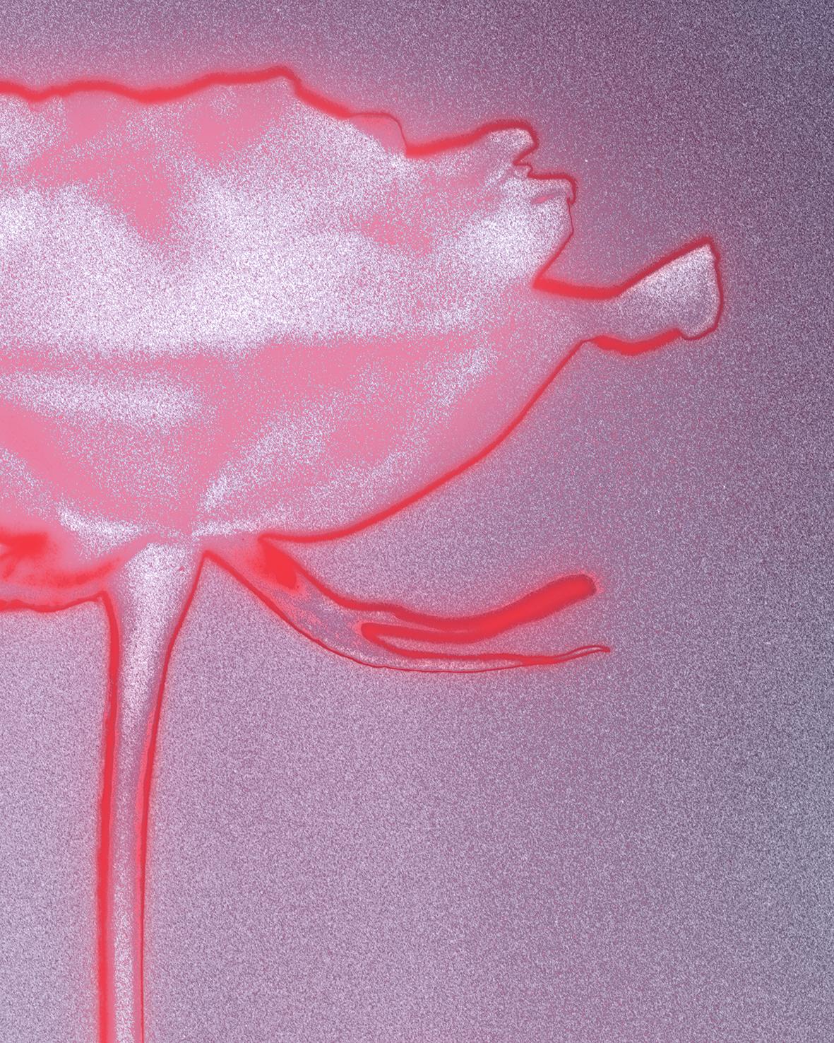 „Rose glow“ eine analoge Stillleben-Fotografie, zeitgenössische Mischtechnik, rosa/rot – Photograph von Ugne Pouwell