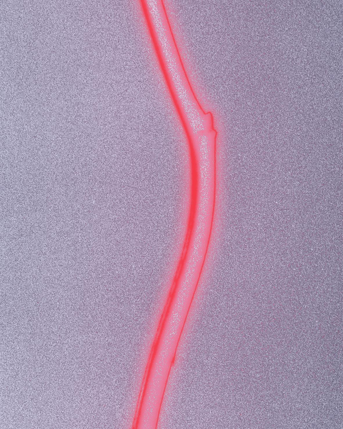 'Rose glow' a still-life analogue photograph, contemporary mix media, pink/red - Contemporary Photograph by Ugne Pouwell