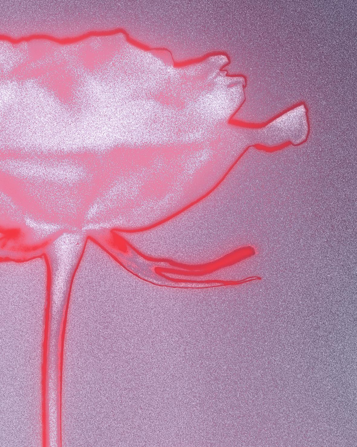 Rose glow - analogue floral abstract photography, limited edition 2 of 20 - Photograph by Ugne Pouwell