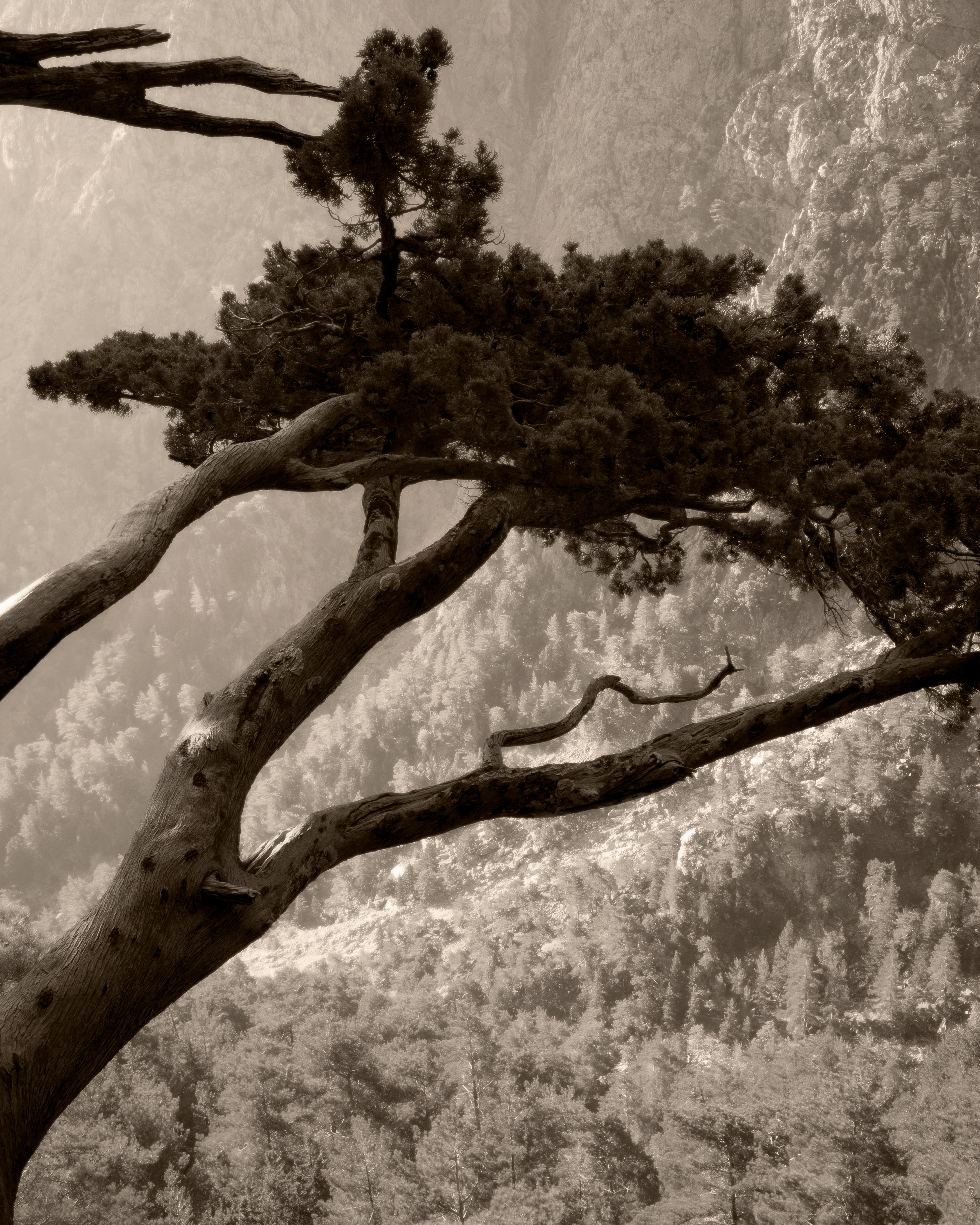 Ugne Pouwell Black and White Photograph - Samaria Gorge no. 1