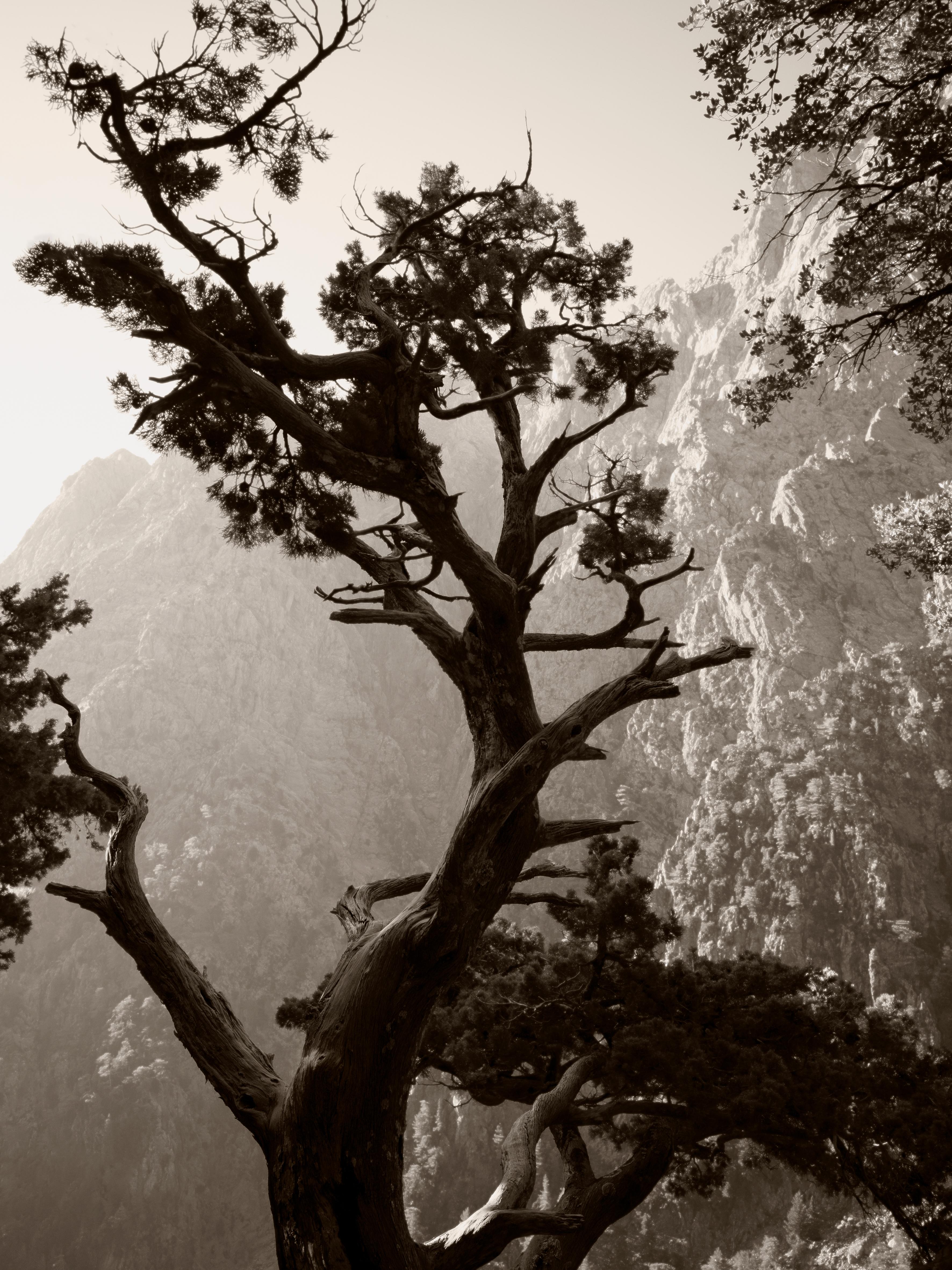 Ugne Pouwell Landscape Photograph - Samaria Gorge no. 2