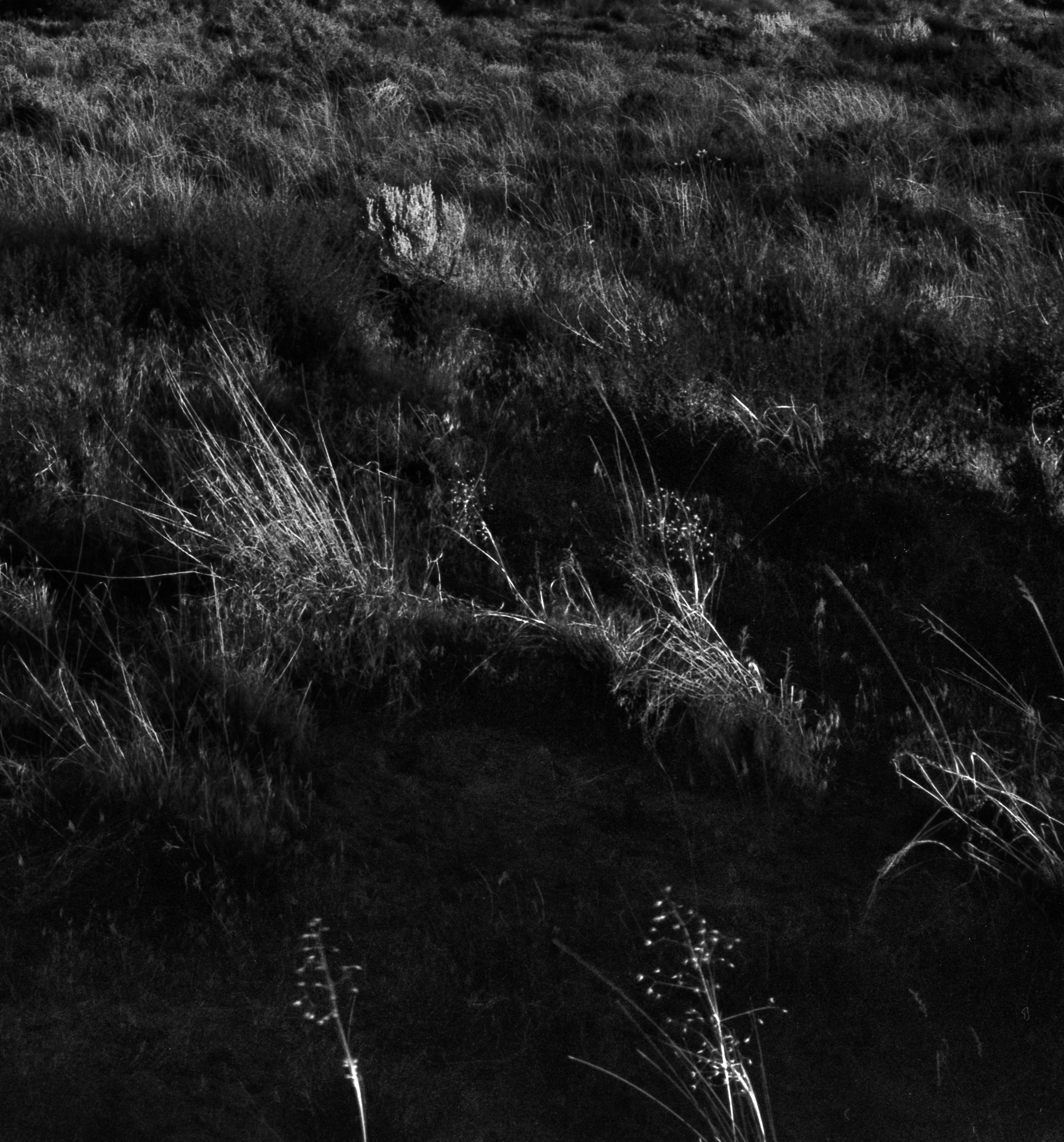 Sanddünenbögen #2 

Utah, USA, 2023

Limitierte Auflage von 20 Stück

Das Foto wurde mit einer Linhof-Großformatkamera aus der Mitte des letzten Jahrhunderts aufgenommen.

Gedruckt auf archivfähigem Hahnemühle Photo Rag Baryta Papier. Signiert auf