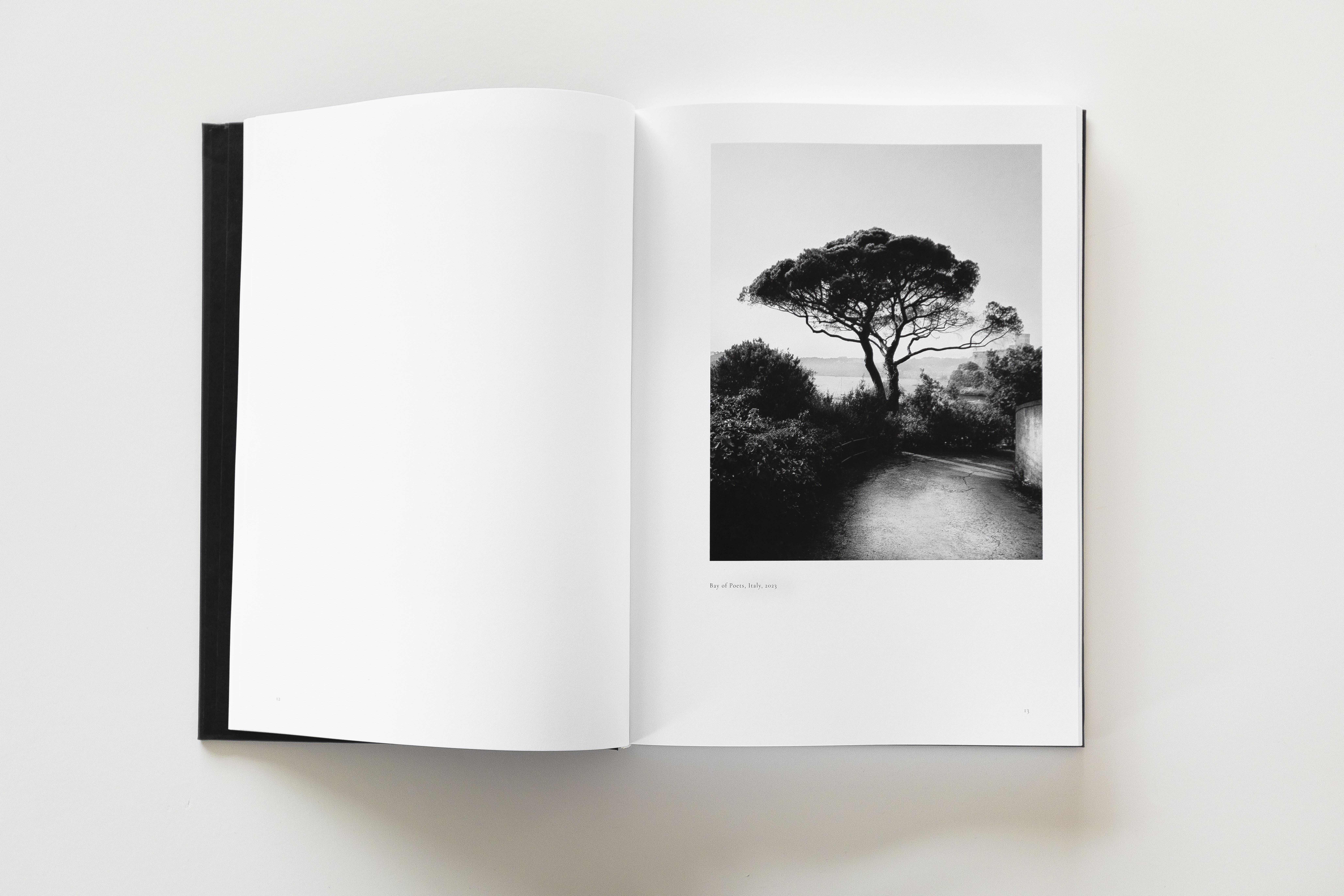 SOLACE de Ugnė Pouwell - Libro de Fotografía Artística en Blanco y Negro en venta 4