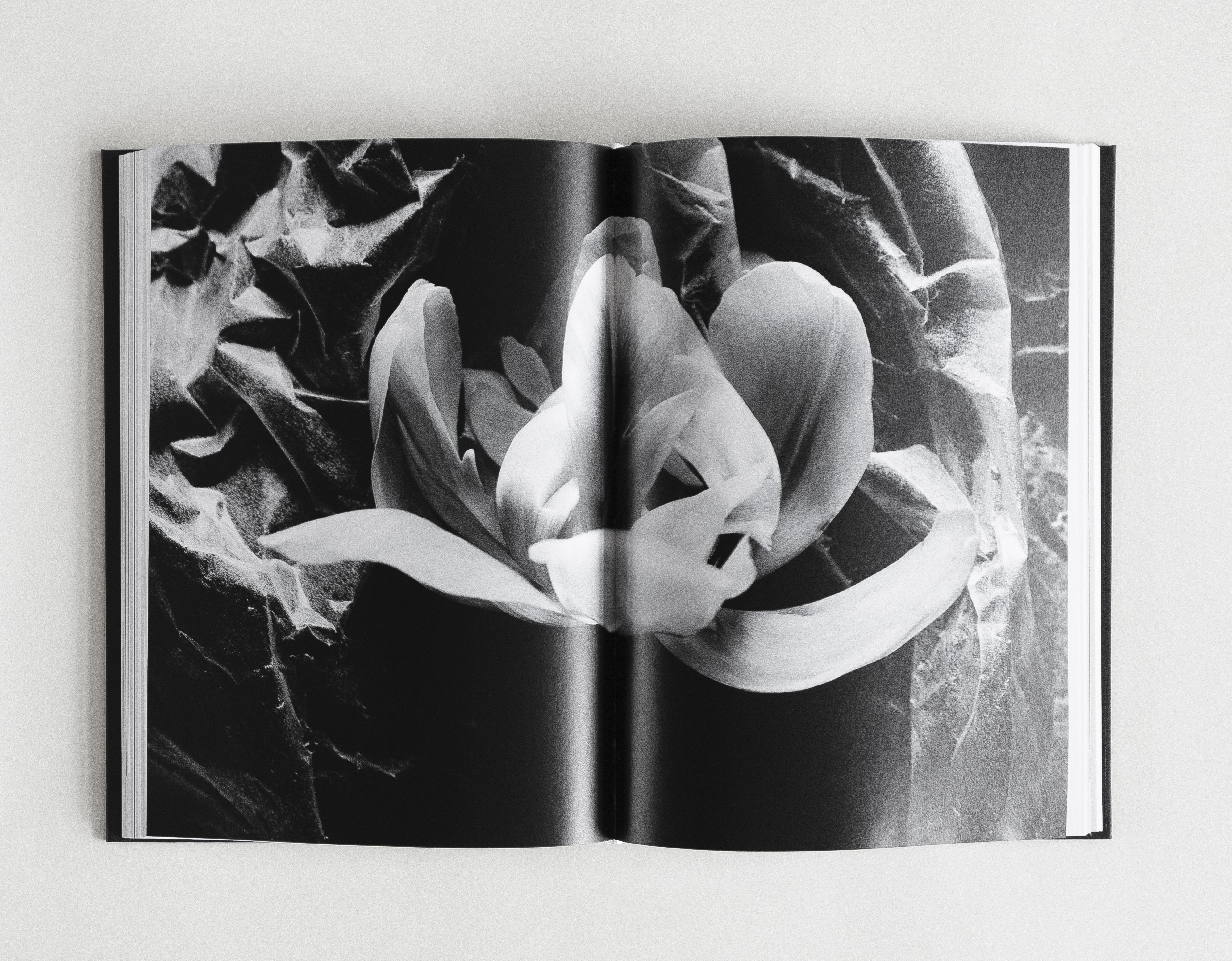 SOLACE de Ugnė Pouwell - Libro de Fotografía Artística en Blanco y Negro en venta 5