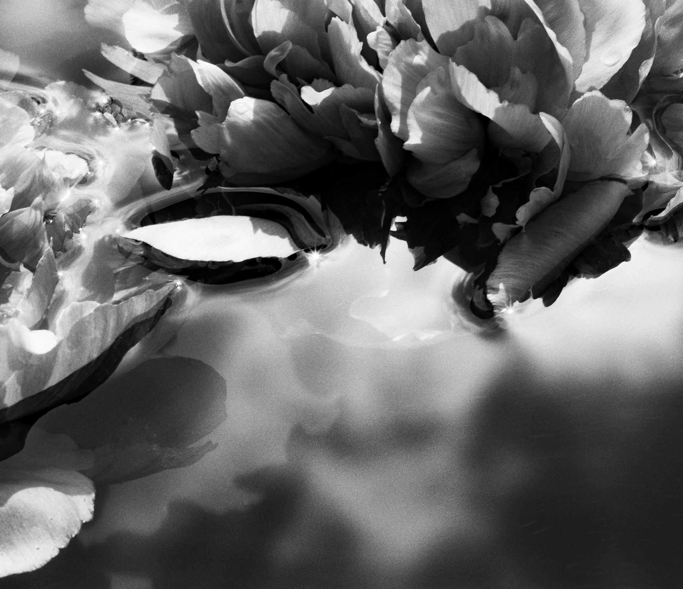 Solstice d'été n° 2 - fleurs, photographie en noir et blanc, édition limitée à 20 exemplaires - Contemporain Photograph par Ugne Pouwell