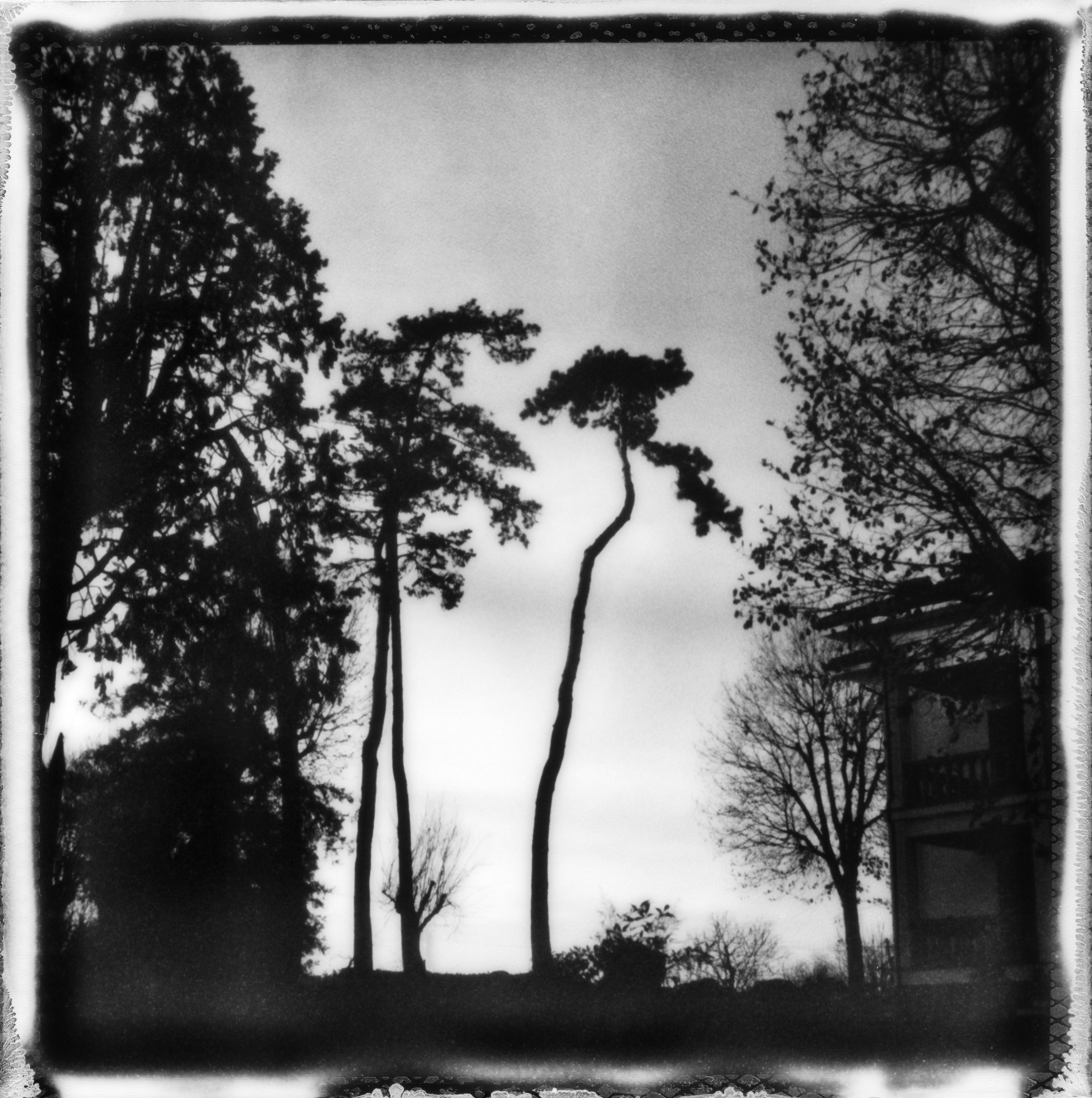 Ugne Pouwell Black and White Photograph - 'Sunset' - black and white polaroid landscape photography