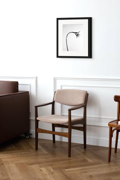 Tulip No.2 - analogue floral photography, limited edition of 20