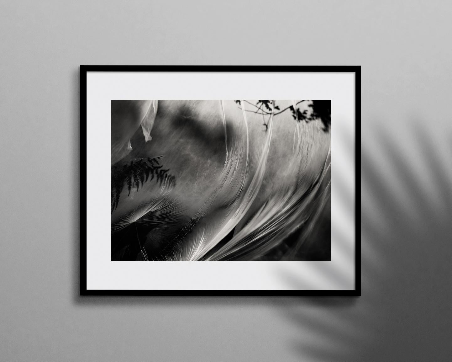 Ensoñación estirada por el viento - Photograph de Ugne Pouwell