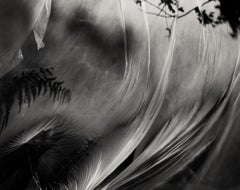 Wind stretched daydream - black and white photography, Limited edition of 20