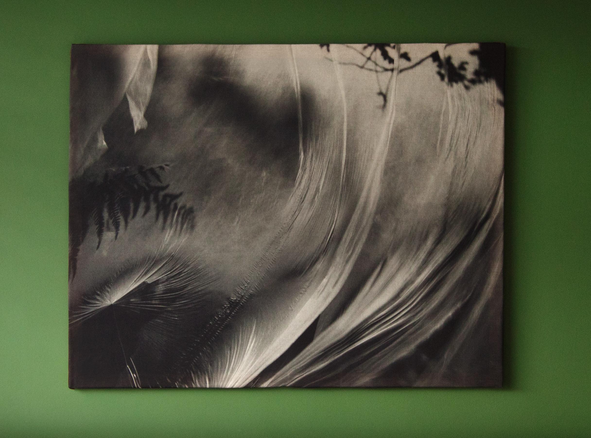Ugne Pouwell Abstract Photograph – Windgestreckter Tagtraum – Leinen-Pigment-Leinwanddruck, limitierte Auflage 5.